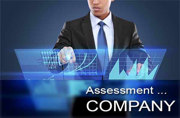 Assessment of Companies - CONTENTS